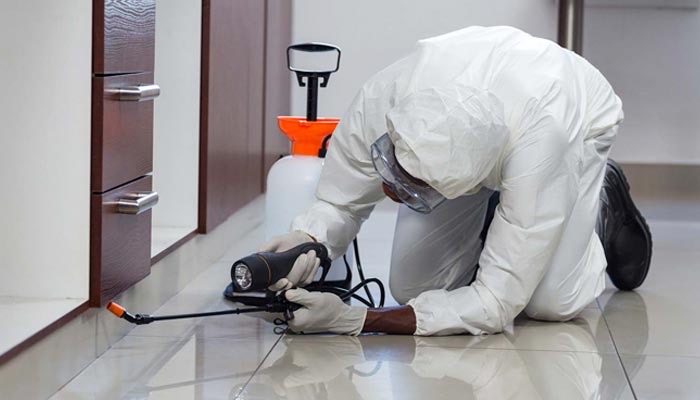 Technician treating skirting and floor edges for pests