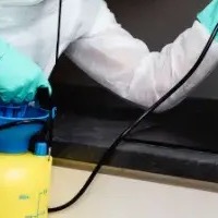 Pest control service